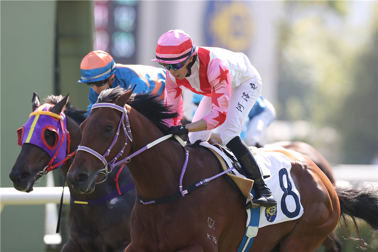 THE BOOM BOX winning the CAMERON HANDICAP