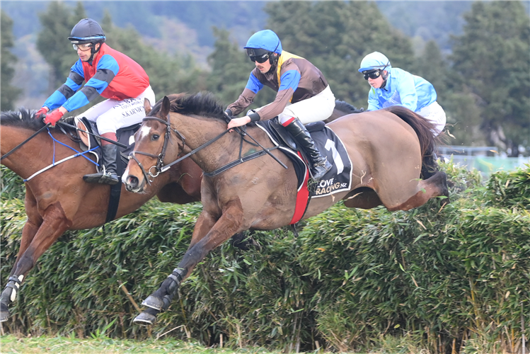 THE COSSACK winning the GRANT PLUMBING WELLINGTON STEEPLECHASE