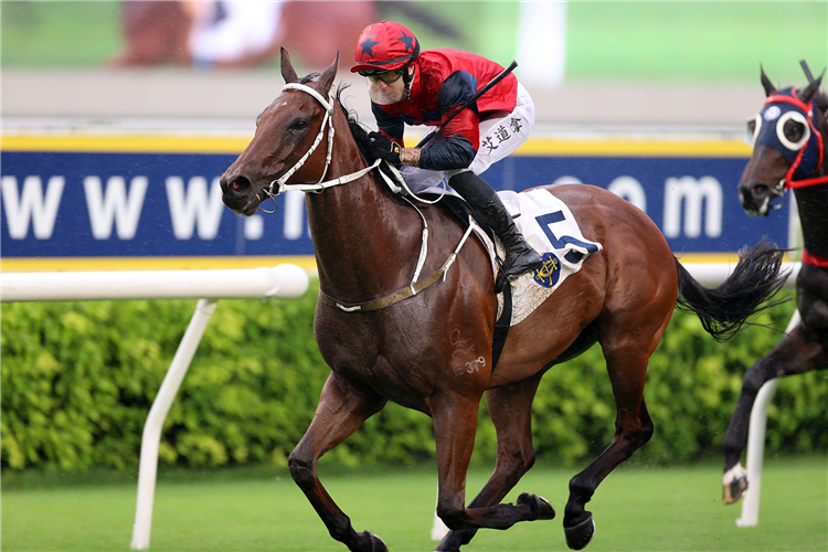 THE GOLDEN SCENERY winning the THE CELEBRATION CUP (HANDICAP)