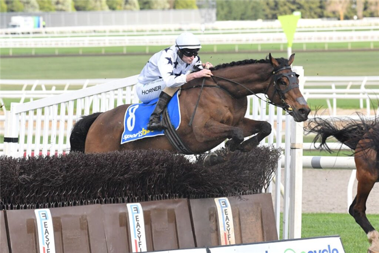 THE GOOD FIGHT winning the Ecycle Solutions Grand National Steeplechase