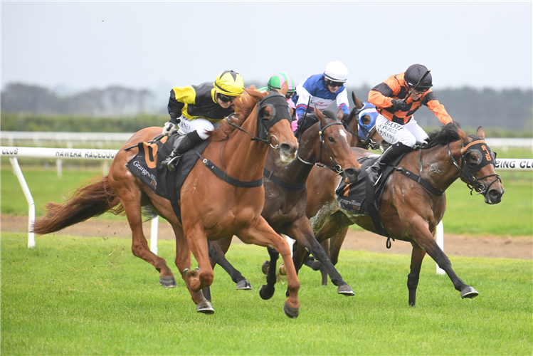 THE HOTTIE (yellow and black) winning the GRANGEWILLIAM STUD BREEDERS STAKES