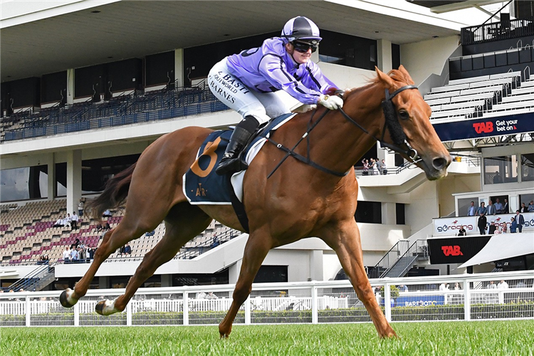 THE ODYSSEY winning the ELSDON PARK