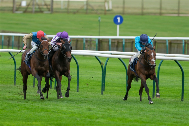 THE WACO KID winning the Tattersalls Stakes at Newmarket in England.