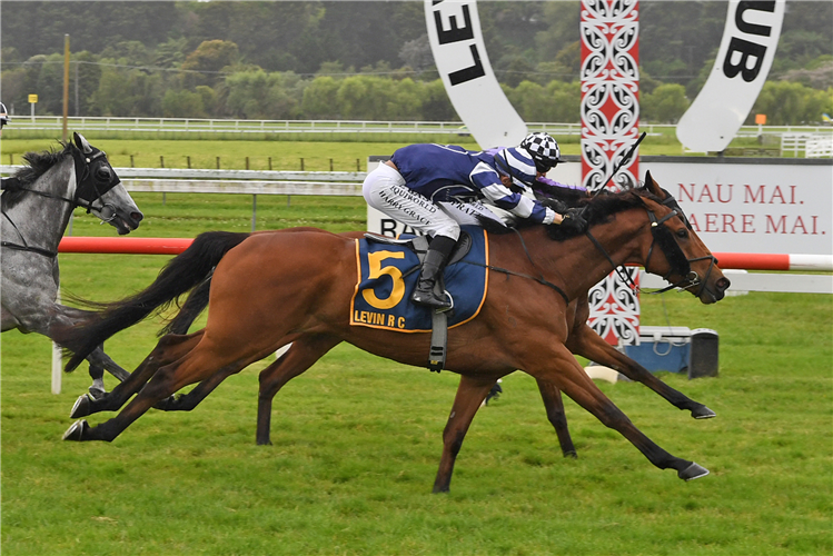 TIKEMYSON winning the DUNSTAN HORSE FEEDS CHAMPIONSHIP QUALIFIER