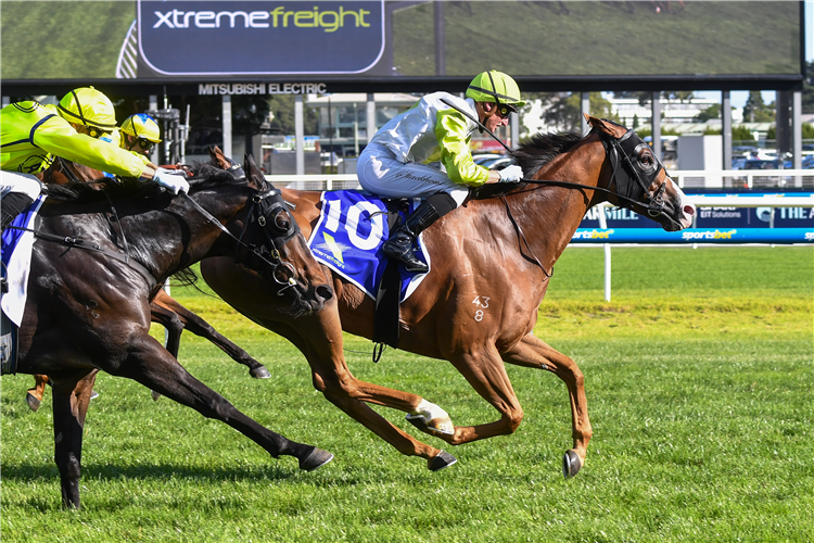 TITAN OF CHOICE winning the Country Mile Series Final at Caulfield in Australia.