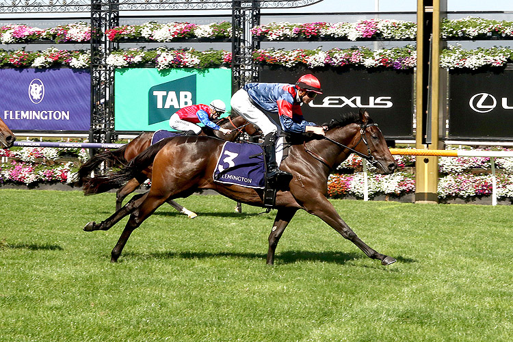 TOBEORNOTTOBE winning the TBV Thoroughbred Breeders Stakes