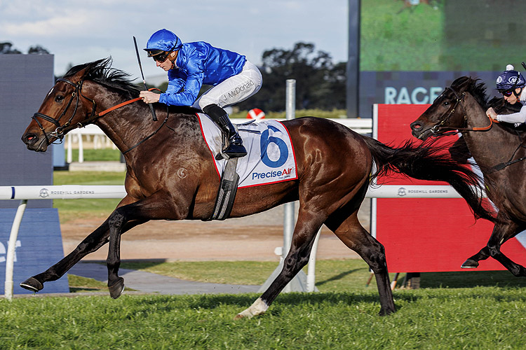 TOM KITTEN winning the PRECISE AIR HANDICAP