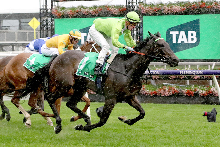 TOO DARN DISCREET winning the TAB Edward Manifold Stakes at Flemington in Australia.