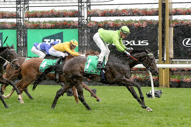 TOO DARN DISCREET winning the TAB Edward Manifold Stakes