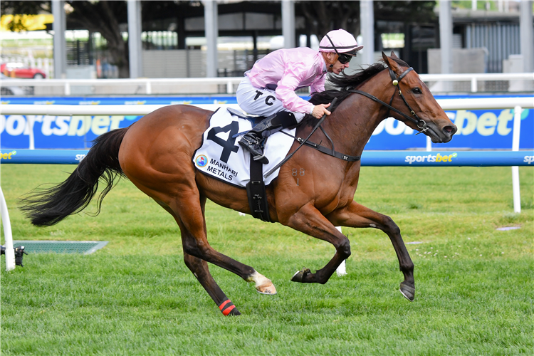 TOO DARN LIZZIE winning the Manhari Thousand Guineas Prelude at Caulfield in Australia.