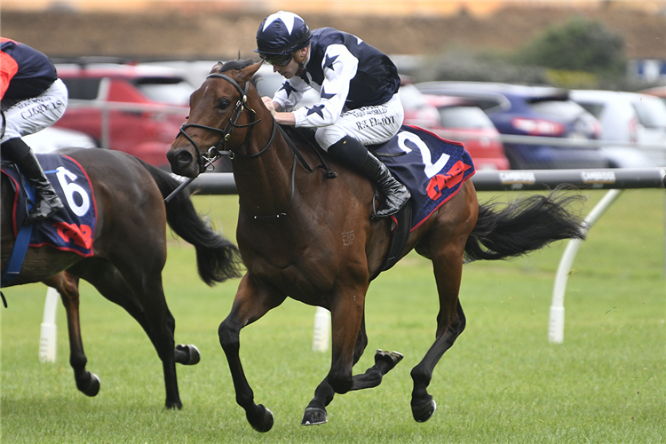 TORETTO winning the MONDIALE VGL