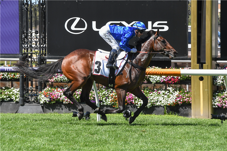 TRAFFIC WARDEN winning the Sires' Produce Stakes at Flemington in Australia.