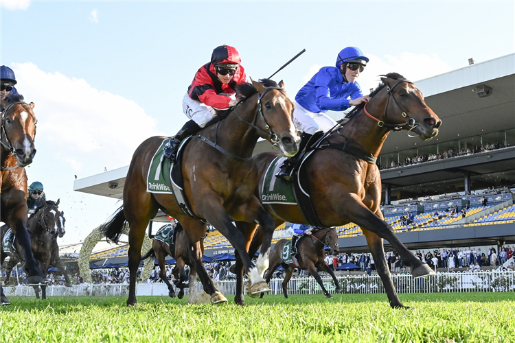 TRAFFIC WARDEN winning the James Squire Run To The Rose at Rosehill in Australia.