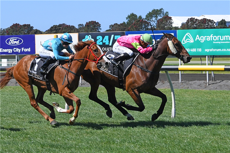 TRIGON LAD winning the LANDMARK CITY OF NEW PLYMOUTH CUP R75