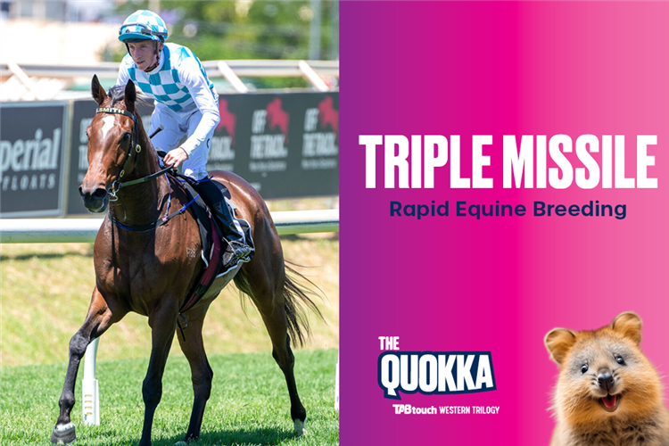 TRIPLE MISSILE running in The Quokka