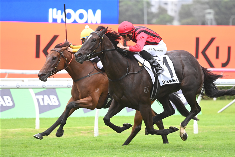 Tropical Squall winning the DRINKWISE SURROUND STAKES at Randwick in Australia.