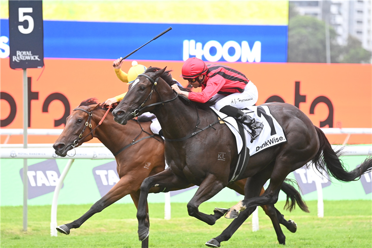 TROPICAL SQUALL winning the Drinkwise Surround Stakes at Randwick in Australia
