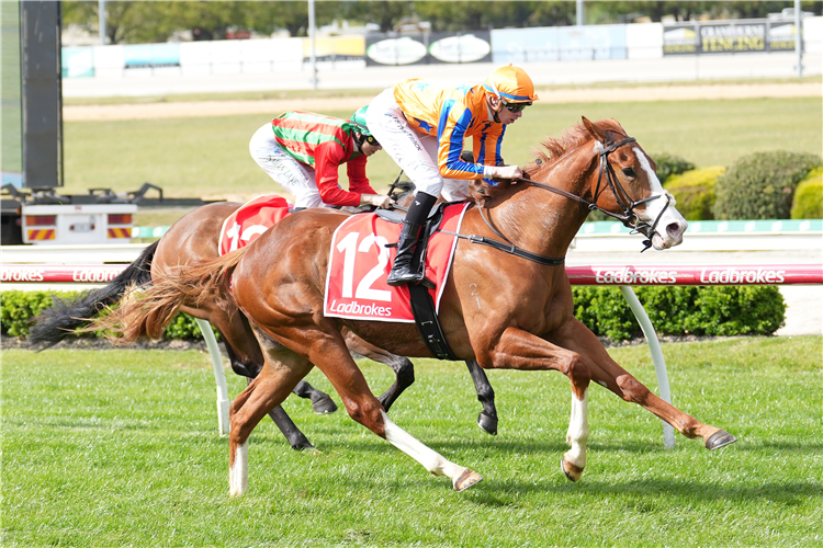 TRUTH OR DARE winning the Race for Rule Maiden Plate in Cranbourne, Australia.