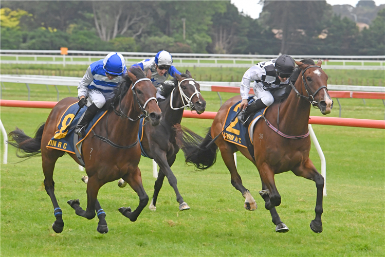 TUXEDO winning the ELSDON PARK WELLINGTON STAKES