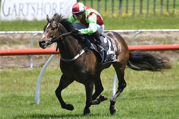 TWAIN winning the TAURANGA HARDWARE & PLUMBING