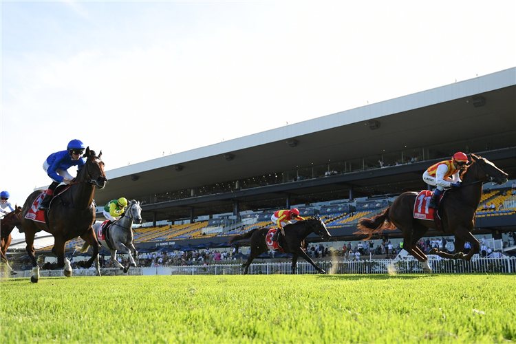 UNION ARMY winning the TOYOTA FORKLIFTS HANDICAP at Rosehill in Australia .