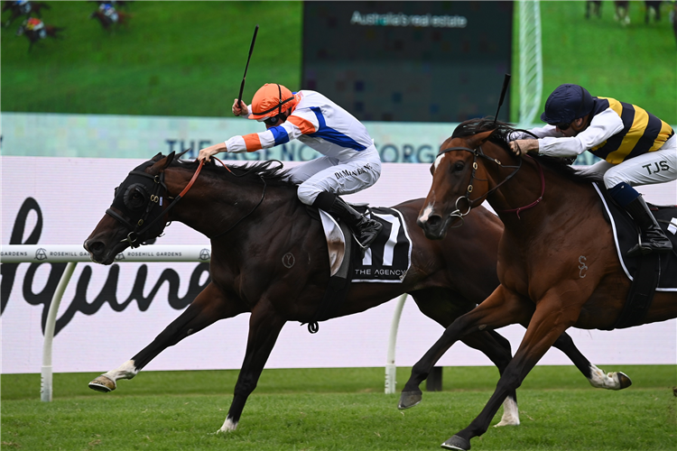 VEIGHT winning the The Agency George Ryder Stakes at Rosehill in Australia.