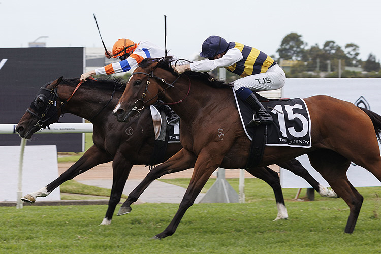 VEIGHT winning the THE AGENCY GEORGE RYDER STAKES