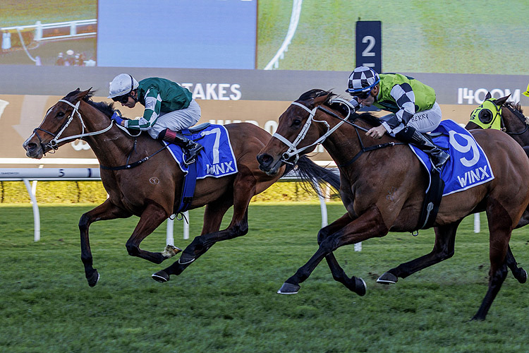 VIA SISTINA winning the WINX STAKES