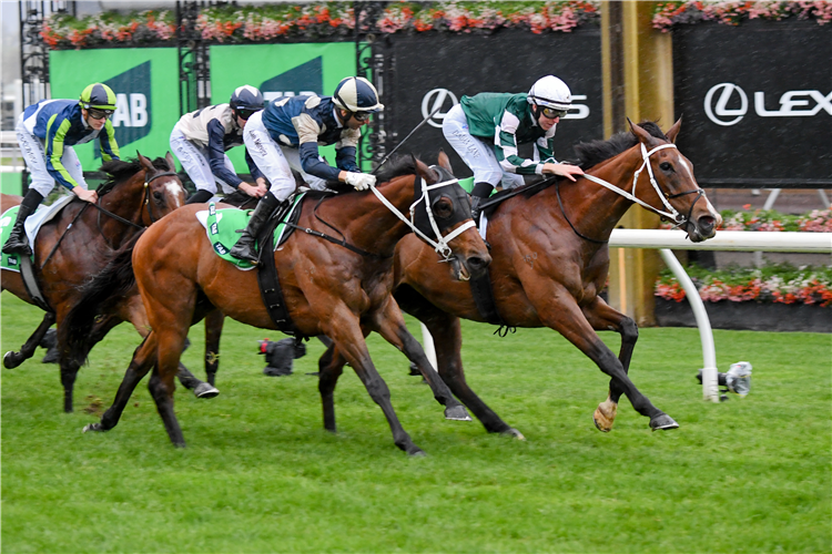 VIA SISTINA winning the TAB Turnbull Stakes at Flemington in Australia.