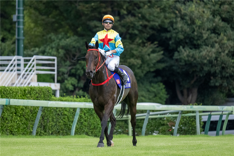 Victor The Winner returns after finishing sixth at Nakayama.