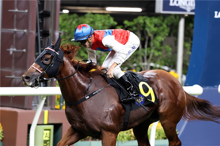 VICTORYTHIRTYTHREE winning the SWIFTY HANDICAP