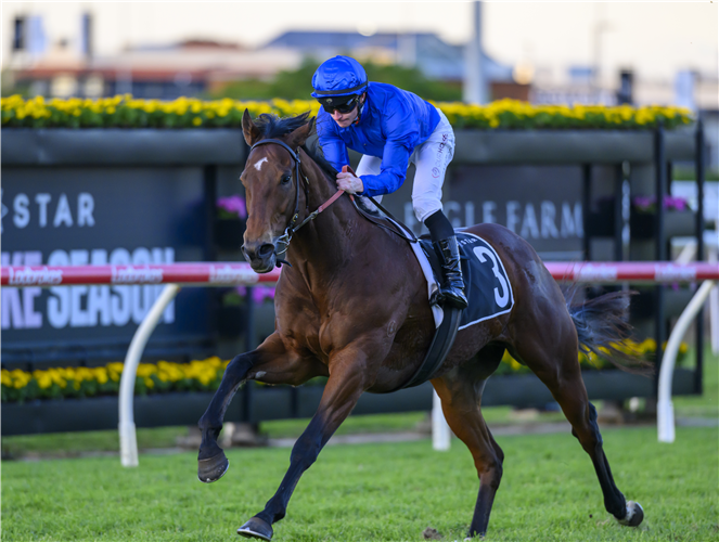 The well-related VILANA is a live hope in tomorrow's G1 Stradbroke