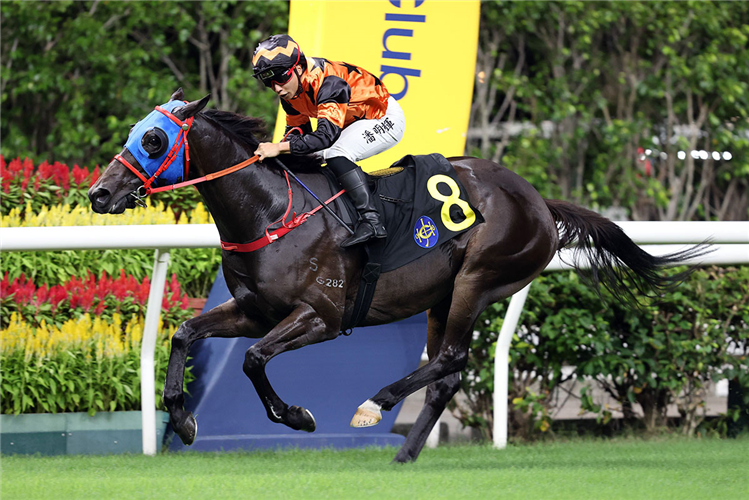 VIVA A LA winning the CHUNG HOM KOK HANDICAP