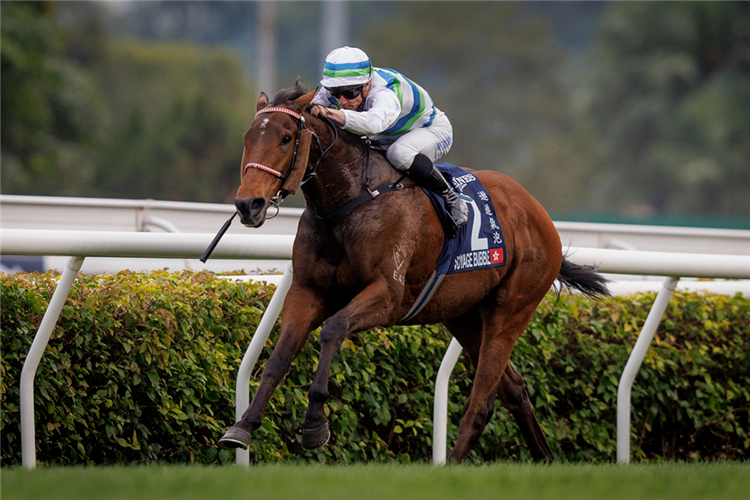 VOYAGE BUBBLE winning the THE LONGINES HONG KONG MILE