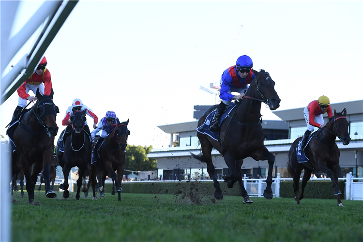 WAR ETERNAL winning the Kanebridge Handicap at Randwick in Australia.