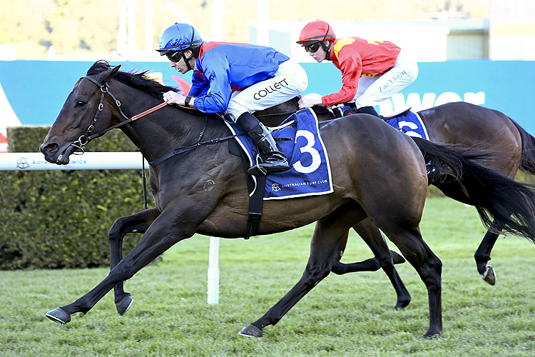 WAR ETERNAL winning the KANEBRIDGE HANDICAP