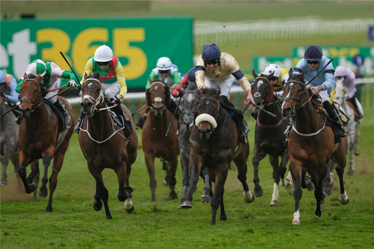 WASHINGTON HEIGHTS (centre, blue cap) winning the Abernant Stakes at Newmarket in England.