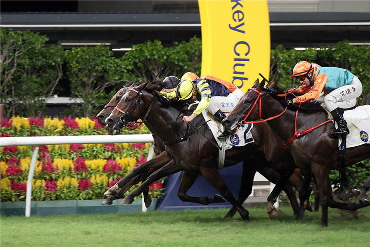 WATCH BUDDY (yellow cap) winning the BROOM HANDICAP