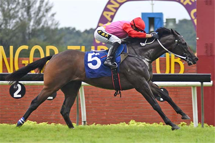 WEALTHYNESS winning the Nov 17 2024 Selangor Meeting Race 9 (1061)