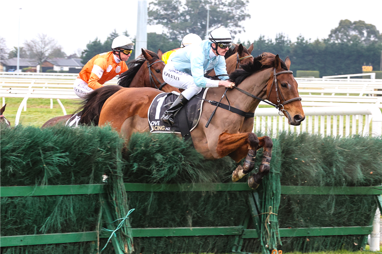 WEST COAST winning the RACECOURSE HOTEL & MOTOR LODGE 149TH GRAND NATIONAL STEEPLECHASE