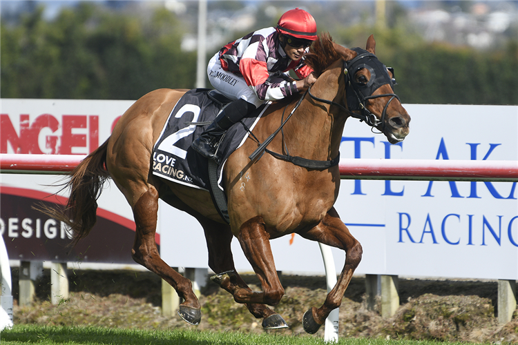 WEWILLROCK winning the GROUP ONE TURF BAR SPRINT