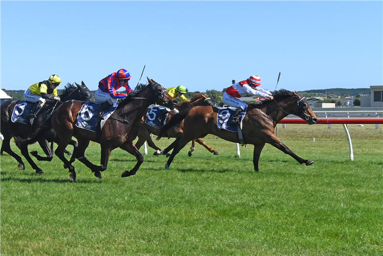 WHANGAEHU winning the STEELFORM ROOFING GROUP WANGANUI CUP