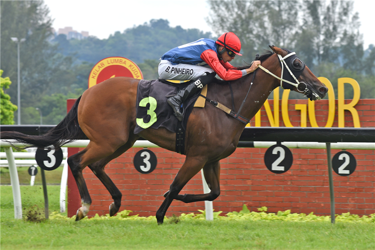 WITNESSIMPACT winning the Sep 22 2024 Selangor Meeting Race 6 (929)