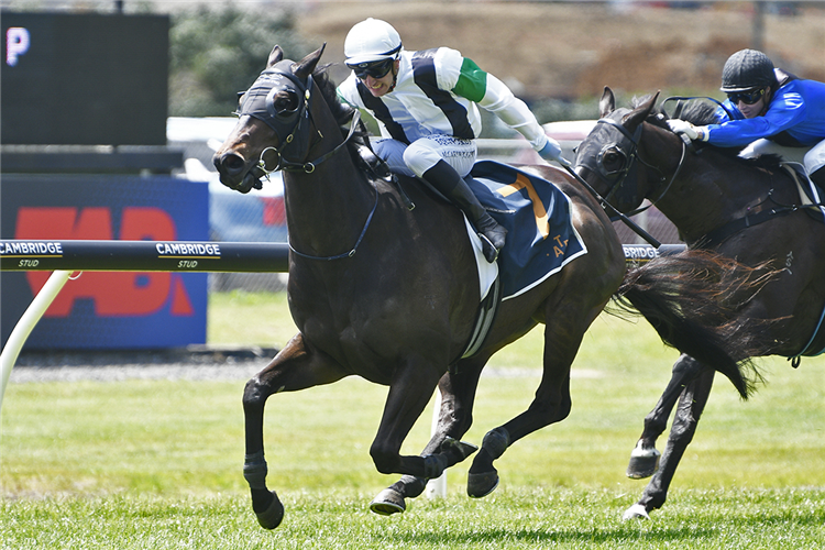 Change Of Tack For Talented Witz End Racing And Sports Change Of Tack For Talented Witz End Racing And Sports