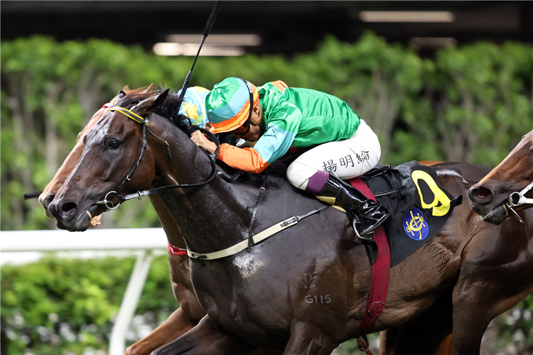 WOODFIRE BRO winning the DEEP WATER BAY HANDICAP