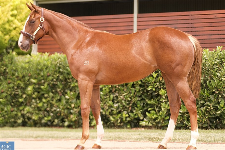 The sister to Coolangatta who will be offered on Tuesday.
