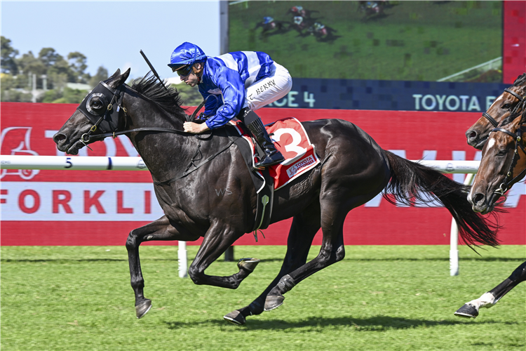 WYMARK winning the Toyota Forklifts Tulloch Stakes at Rosehill in Australia.