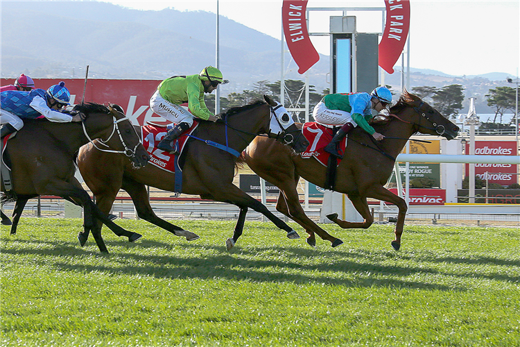 YELLOW SAM winning the Kevin Sharkie Mystic Journey Stakes