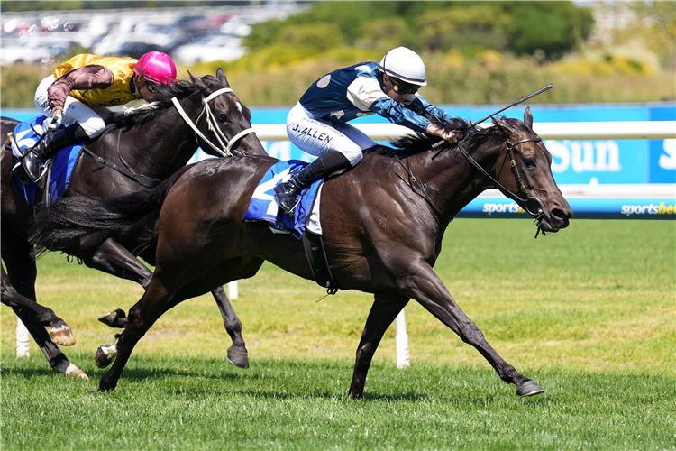 YONCE winning the The Big Screen Company T.S. Carlyon Cup at Caulfield in Australia.