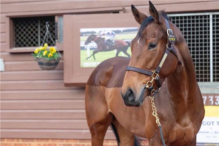 You Got To Me sold for 4.8m guineas.